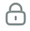 The security icon