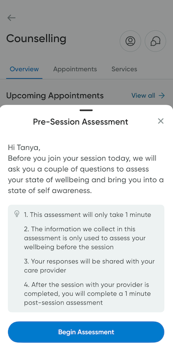 The pre session assessment reminder before joining a voice appointment.